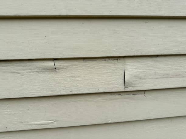 Siding for Commercial Buildings in Berwyn, IL